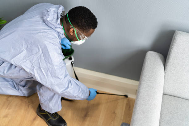 Best Bed Bug Extermination  in Fullerton, CA